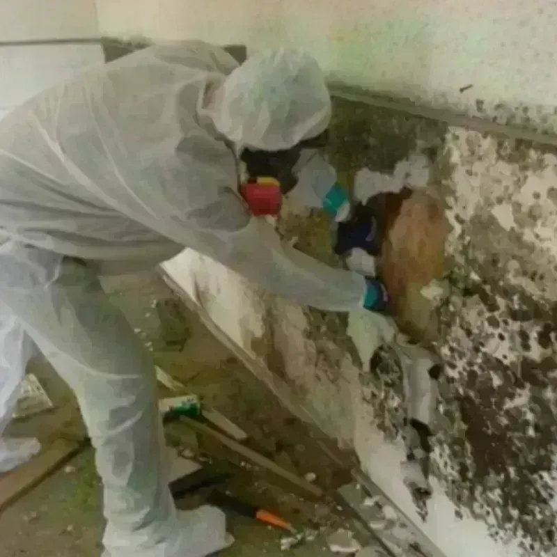 Mold Remediation and Removal in Durham, NH